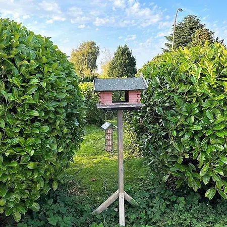 Haus Libelle, Ebenerdig, Wlan, Neu Renoviert, Hochwertig Ausgestattet