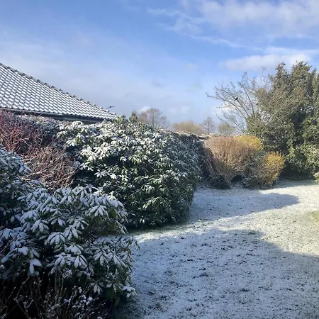 Dom wakacyjny Haus Libelle, Ebenerdig, Wlan, Neu Renoviert, Hochwertig Ausgestattet