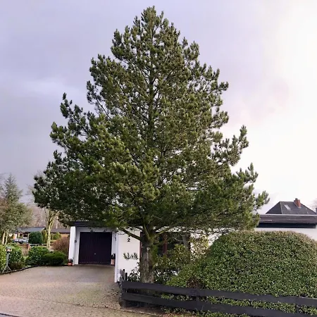 Haus Libelle, Ebenerdig, Wlan, Neu Renoviert, Hochwertig Ausgestattet *